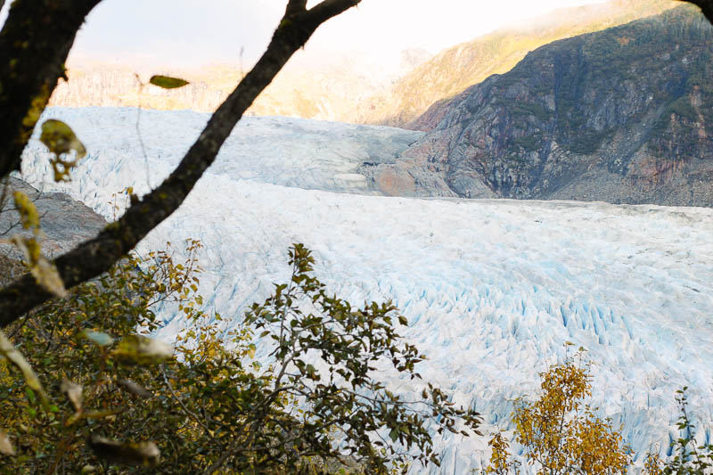Juneau Alaska Vacations | West Mendenhall Glacier Hiking Trail | Mallorie Owens