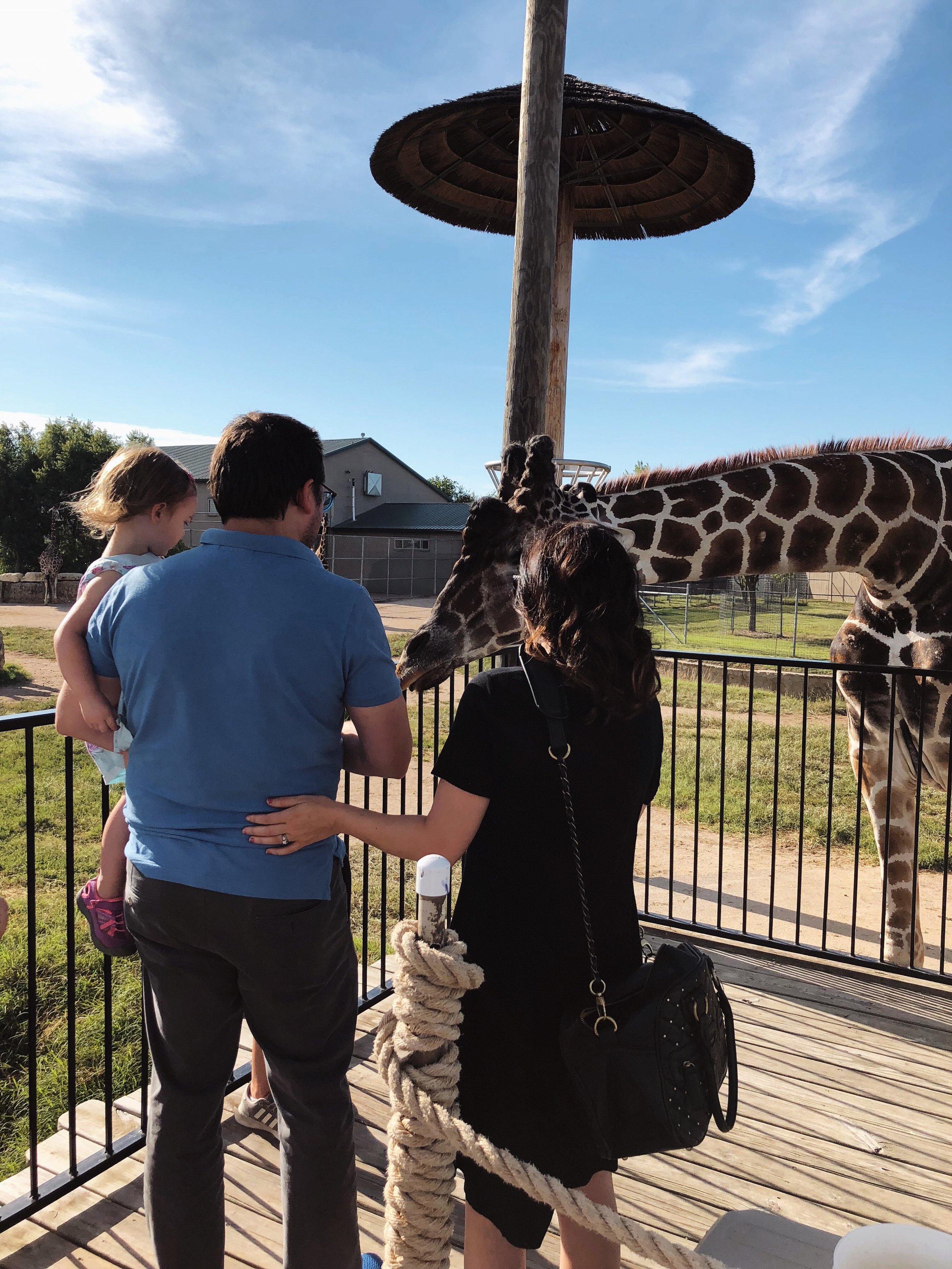 Feeding a Giraffe | Places to Visit in Wichita, KS Tanganyika Wildlife Park | MALLORIE OWENS