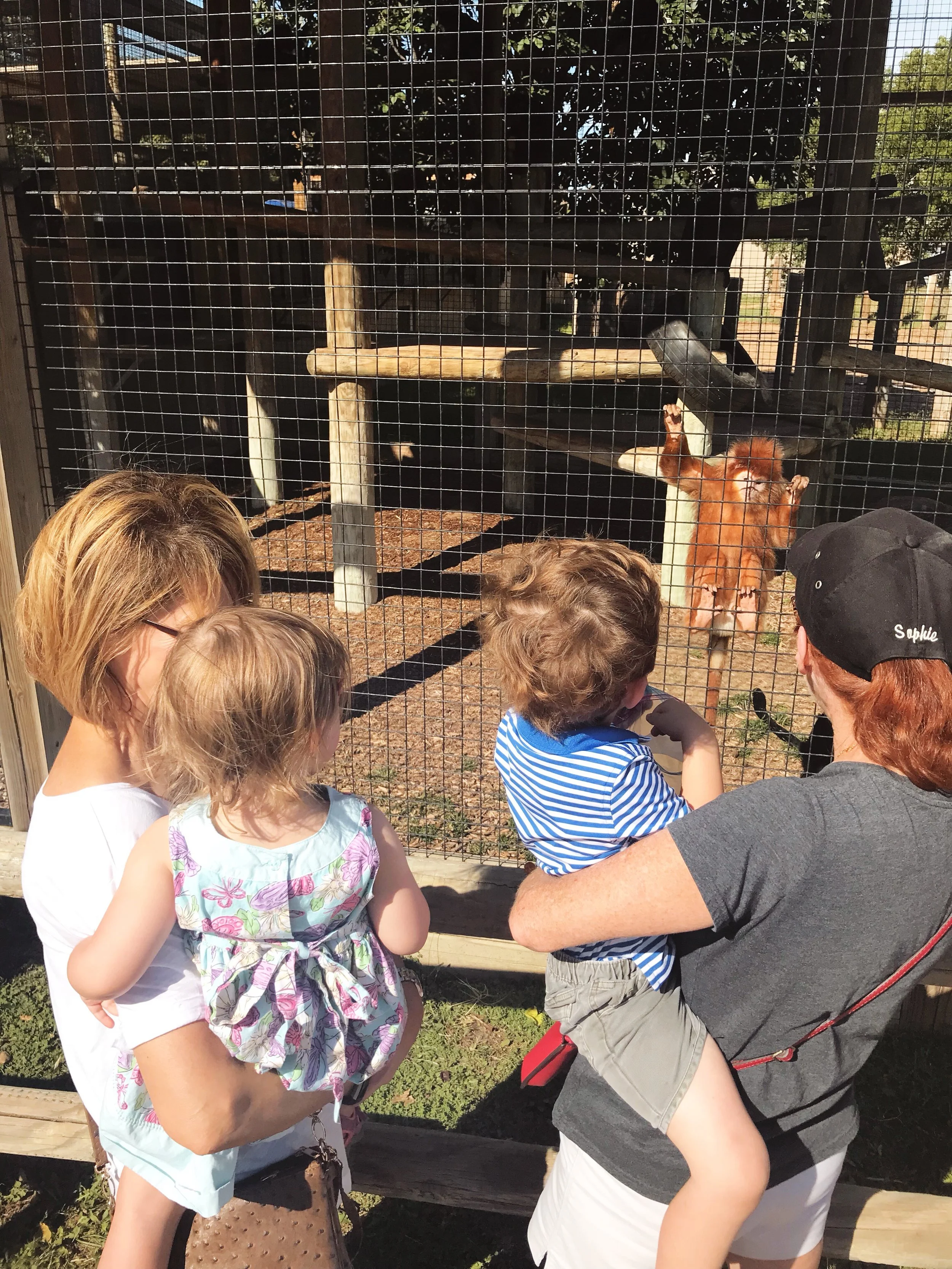 Places to Visit in Wichita, KS Tanganyika Wildlife Park | MALLORIE OWENS