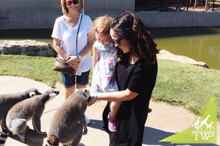 Feeding Lemurs | Places to Visit in Wichita, KS Tanganyika Wildlife Park | MALLORIE OWENS