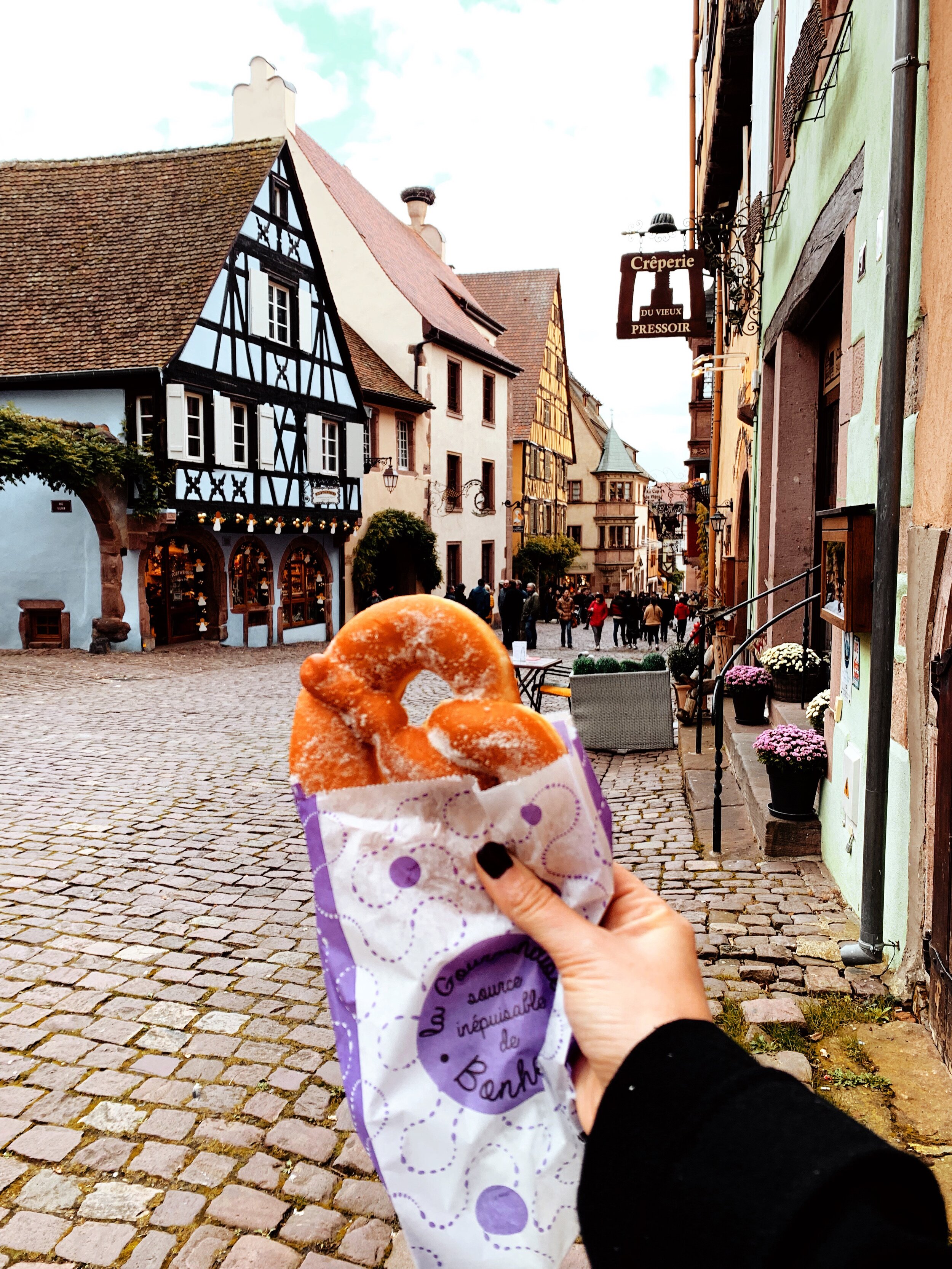 Family Travel Guide to Riquewihr France