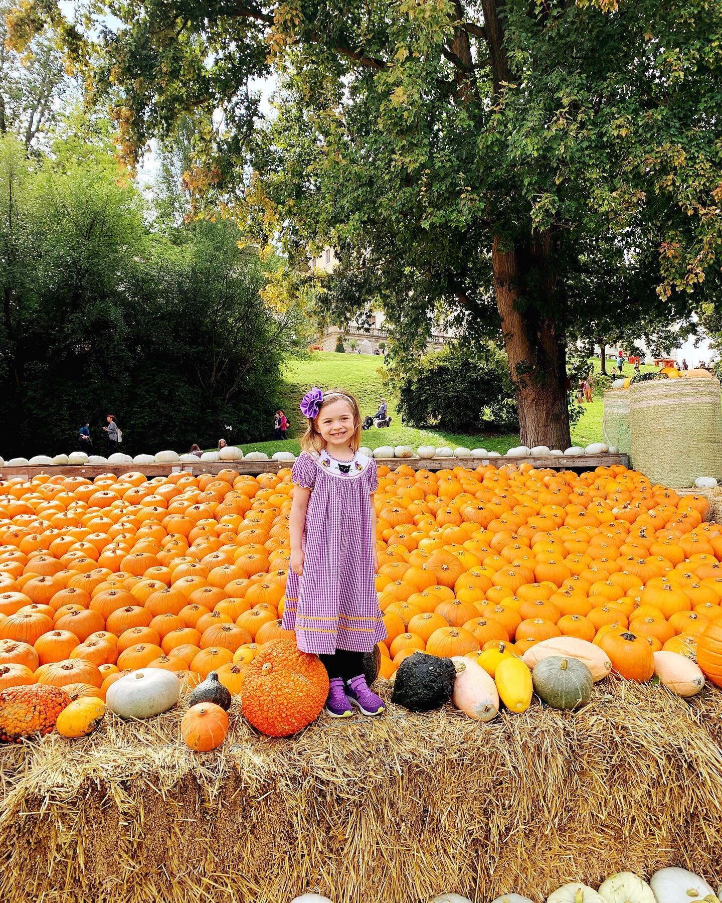 Happy Halloween!!! 🎃
2020 vs 2019 😭 The last four pics are my cuties this year. We&rsquo;re missing the Ludwigsburg Pumpkin Festival this year (and Germany in general), but also loving all the fall and Halloween activities here in the states that w