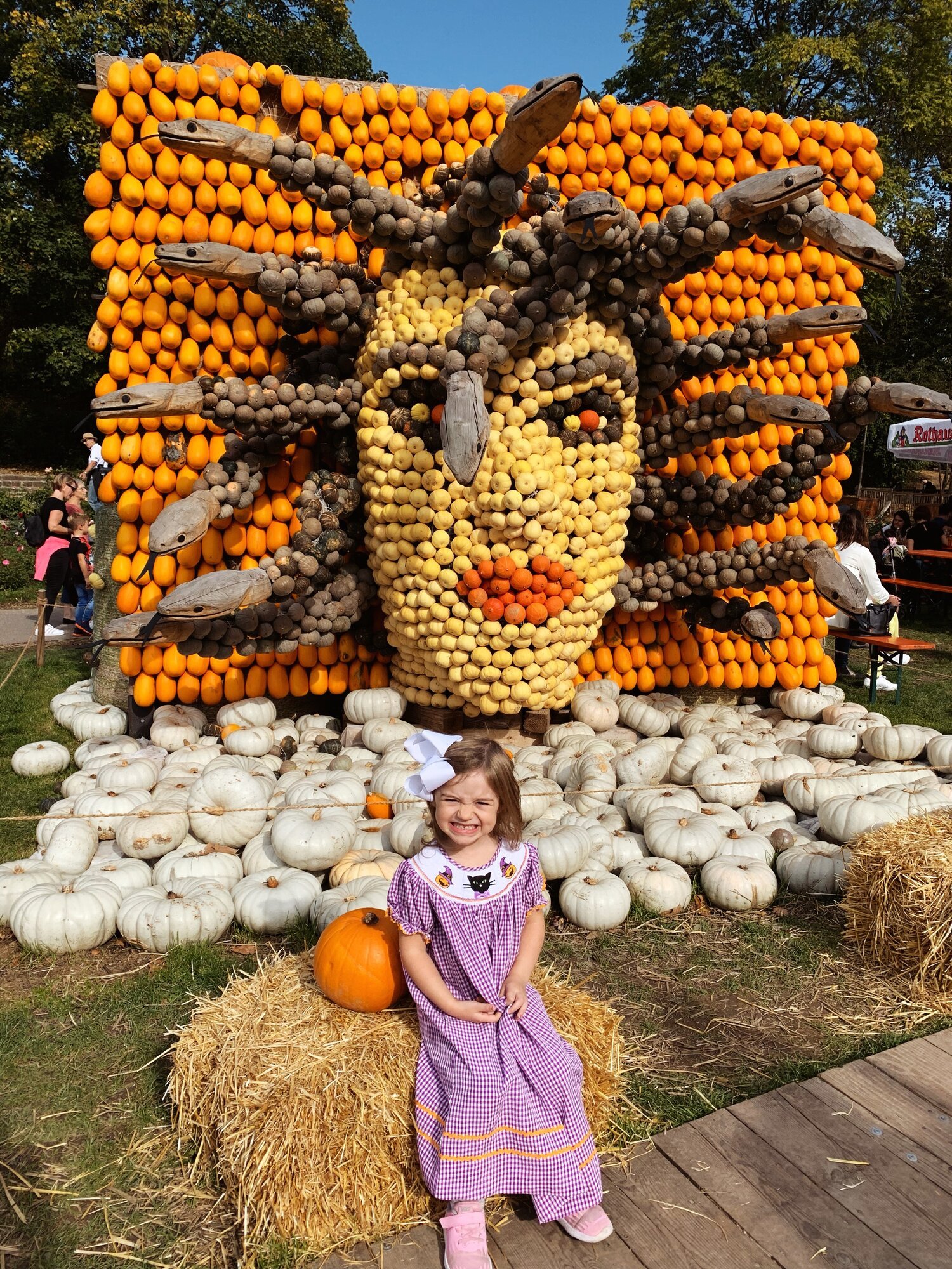 Ludwigsburg Pumpkin Festival Guide