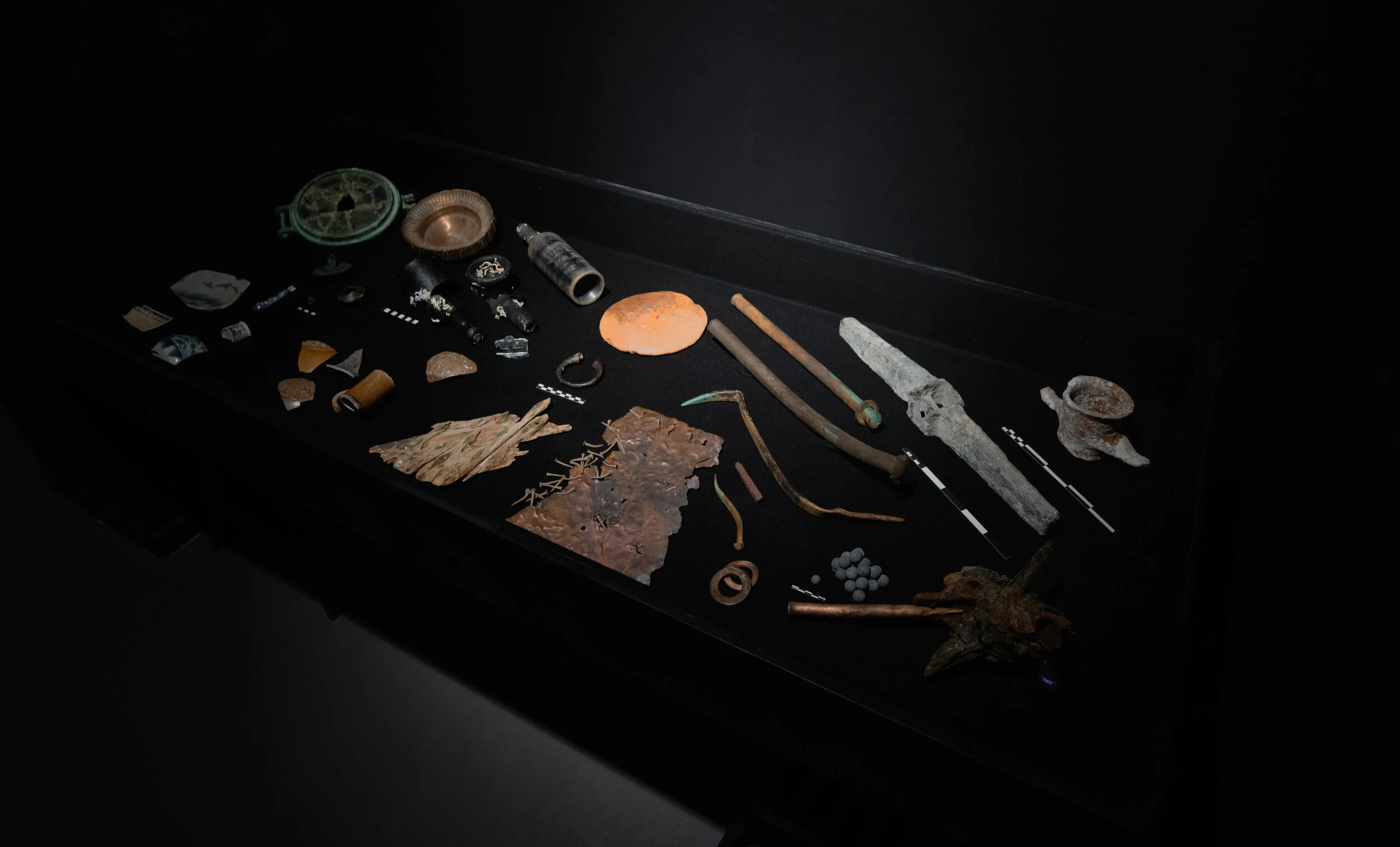 crop dm21_pca_mohini_chandra_300dpi-3158.jpg