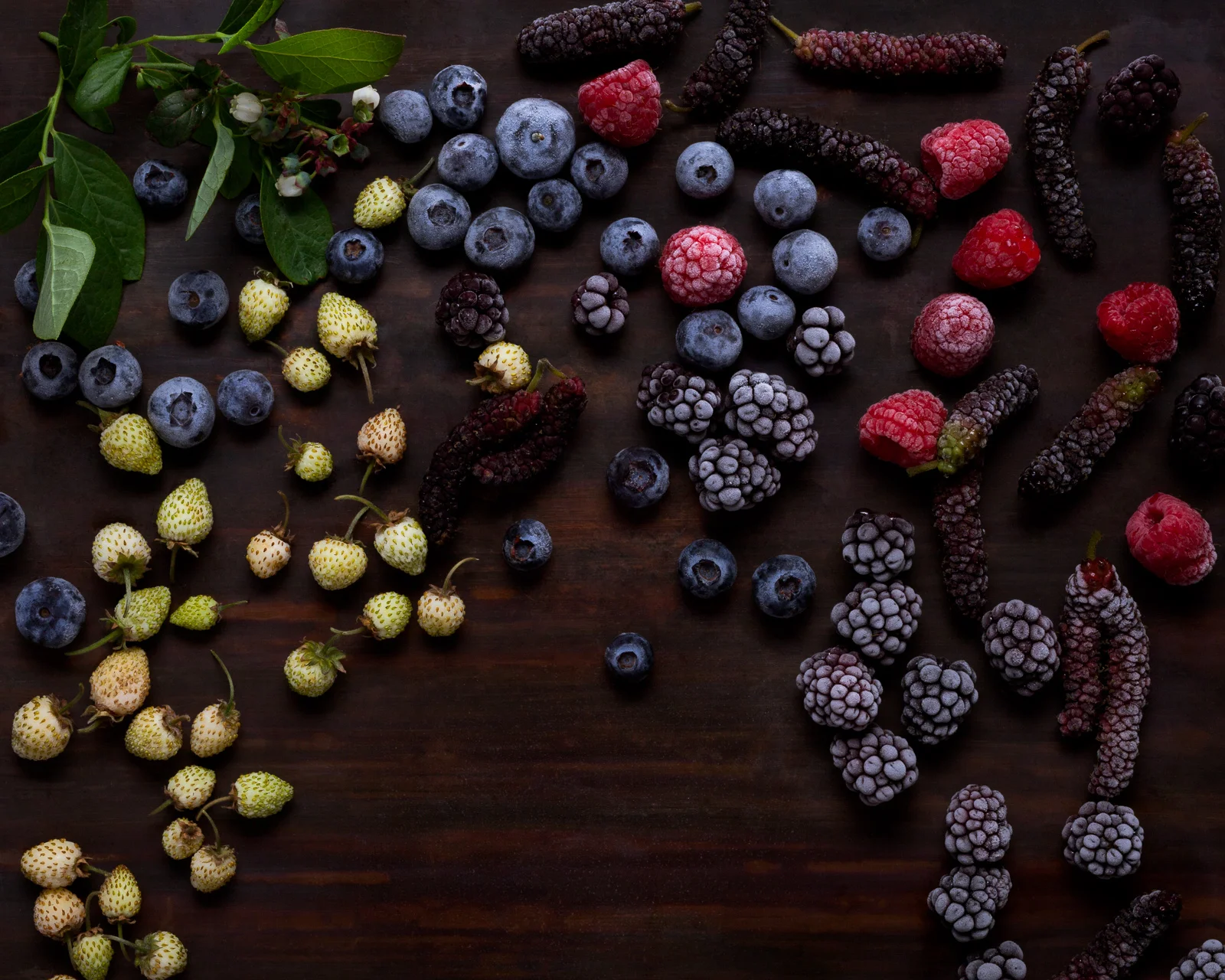 140328_Frozen_Berries-356-Edit.jpg