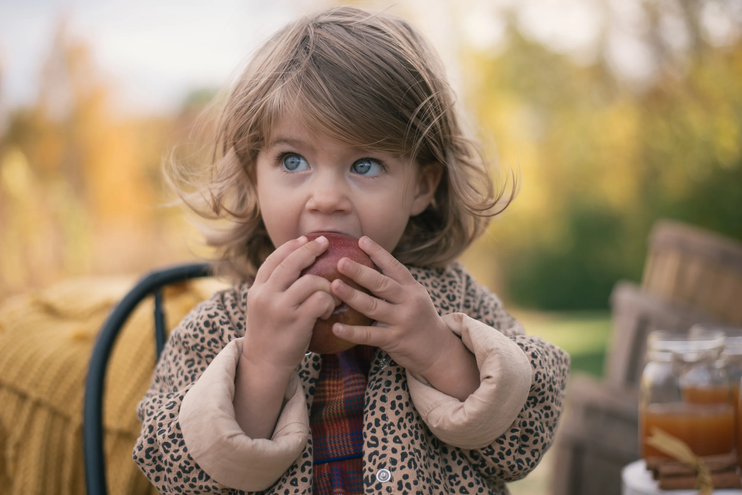 2104 Fall Mini Sessions, Westmoor Park