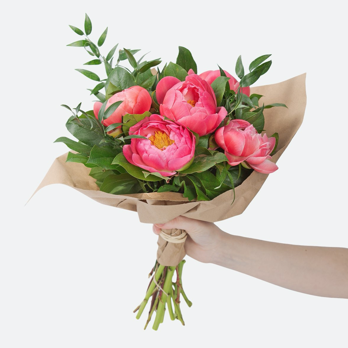 Screen Shot 2020-04-28 at 1.10.56 PM.png