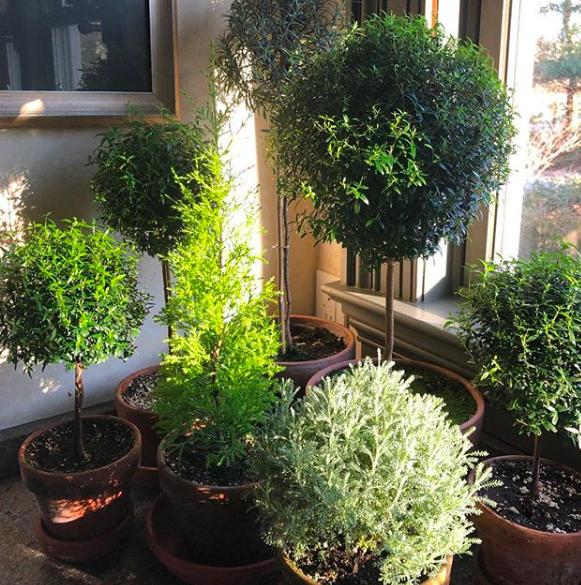 Screen Shot 2020-04-25 at 11.09.20 AM.png