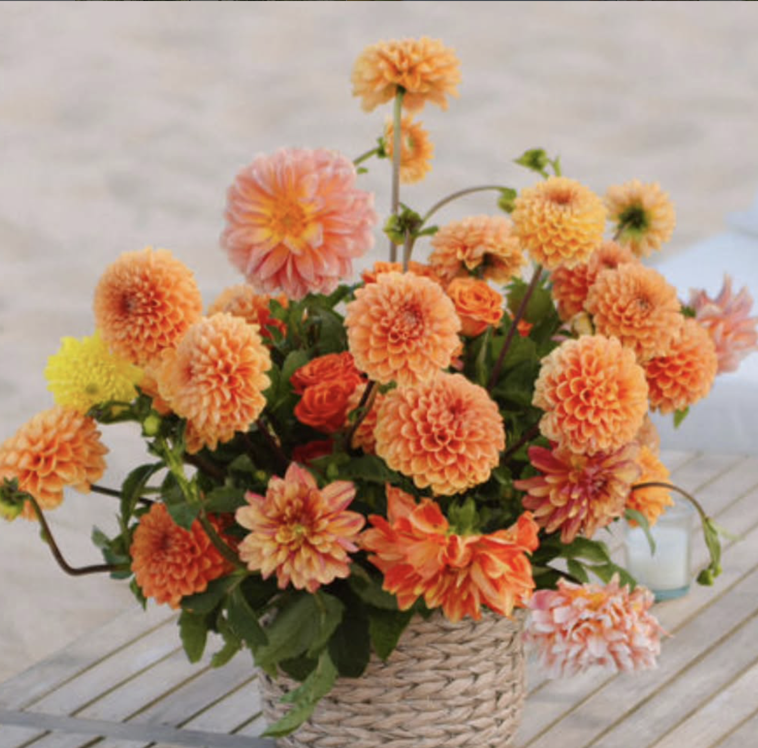 Screenshot 2026-01-15 at 12.18.14 PM.png