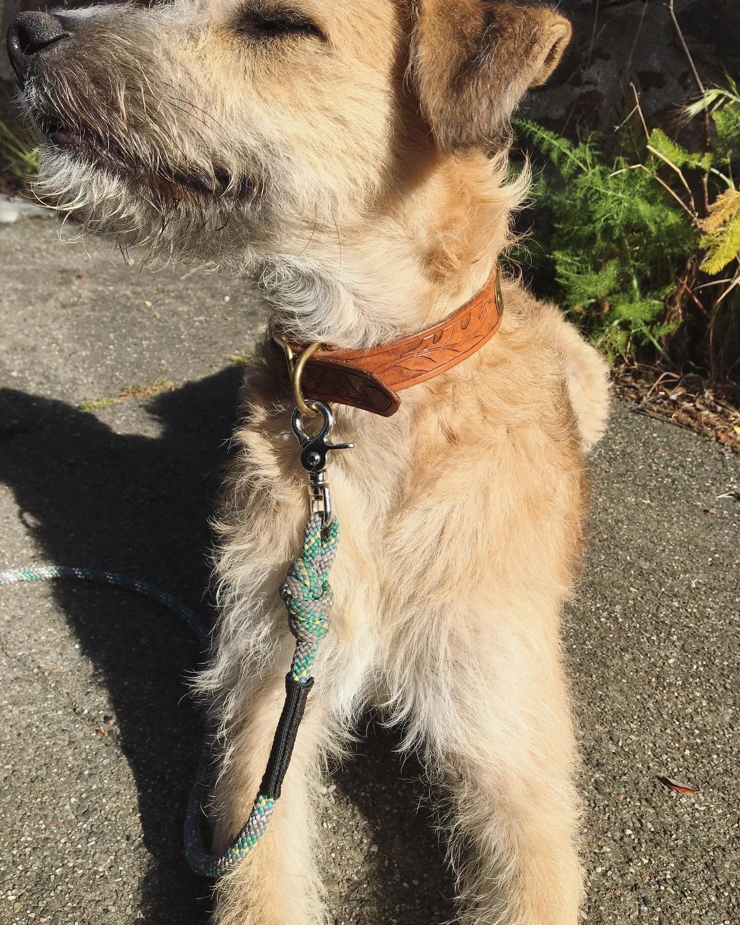 AC564200-91C1-4D81-8057-3981D2223BA6 2.JPG