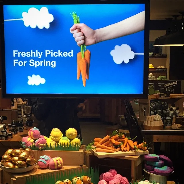 11058502_10155247179030548_2156633441714928377_n-1.jpg