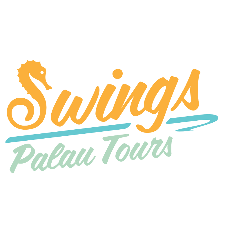 Swings Palau Tours