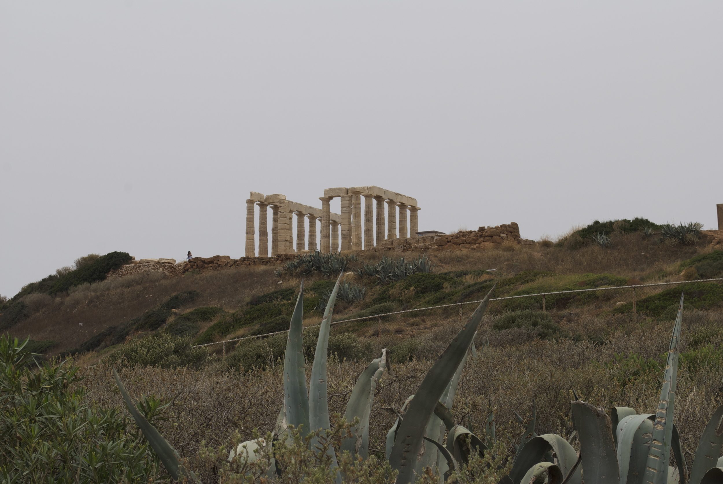 DSC_0017.jpg