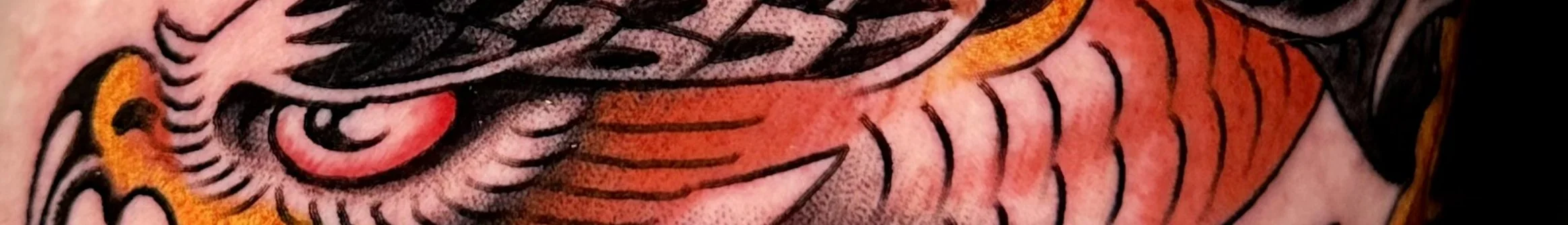 hawktete1.jpg