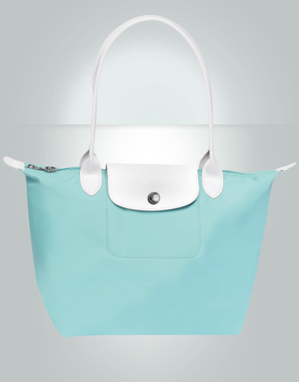 Longchamp Sarah Morris Le Pliage