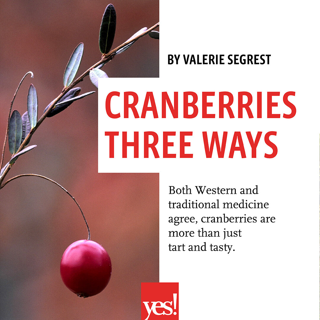 Indigenous Foodways - Cranberries-01.jpg