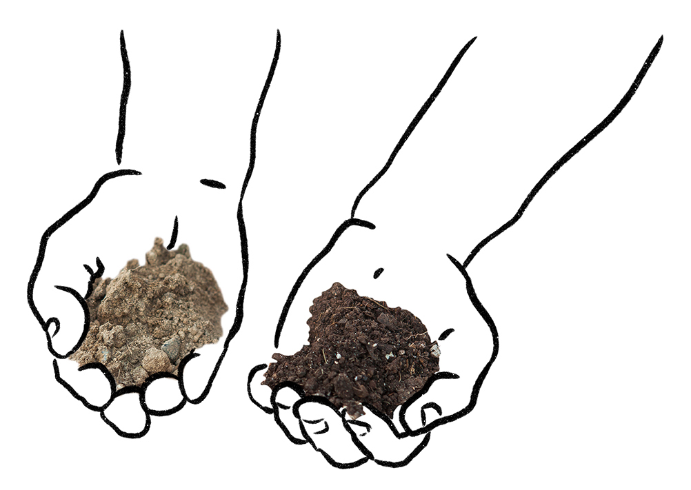 2.2_hands_body.png