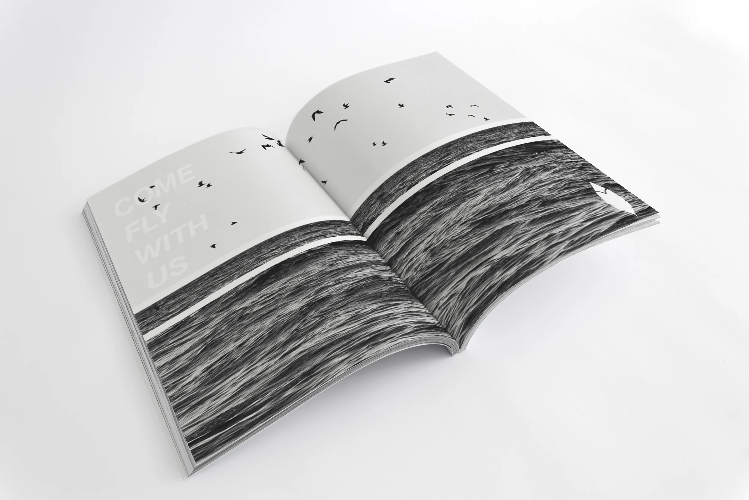 FTHR LOOK BOOK DECROTIVE PAGE 1 .jpg