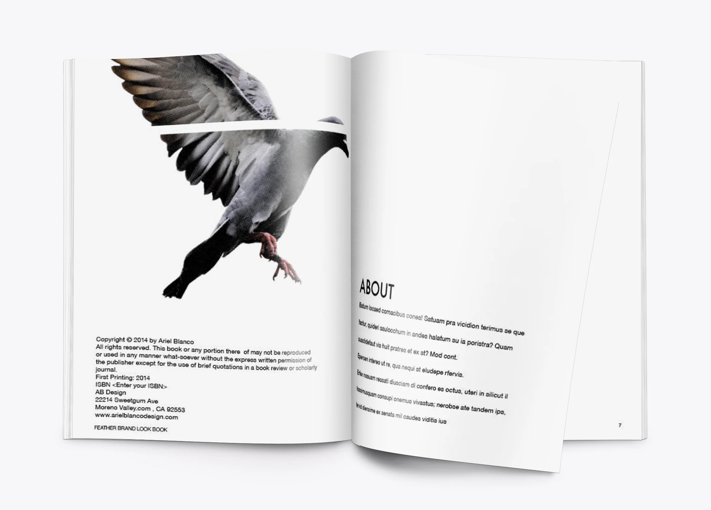 FTHR LOOKBOOK INTRO .jpg