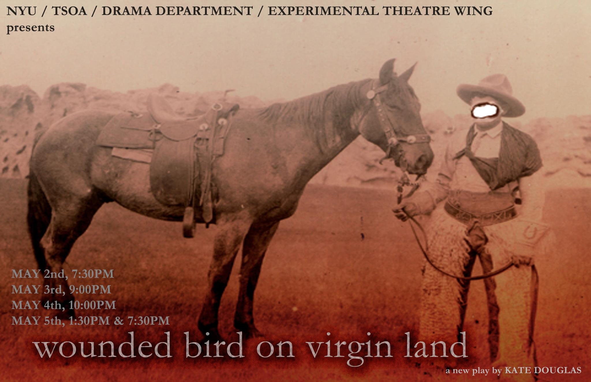 Wounded Bird poster.jpg
