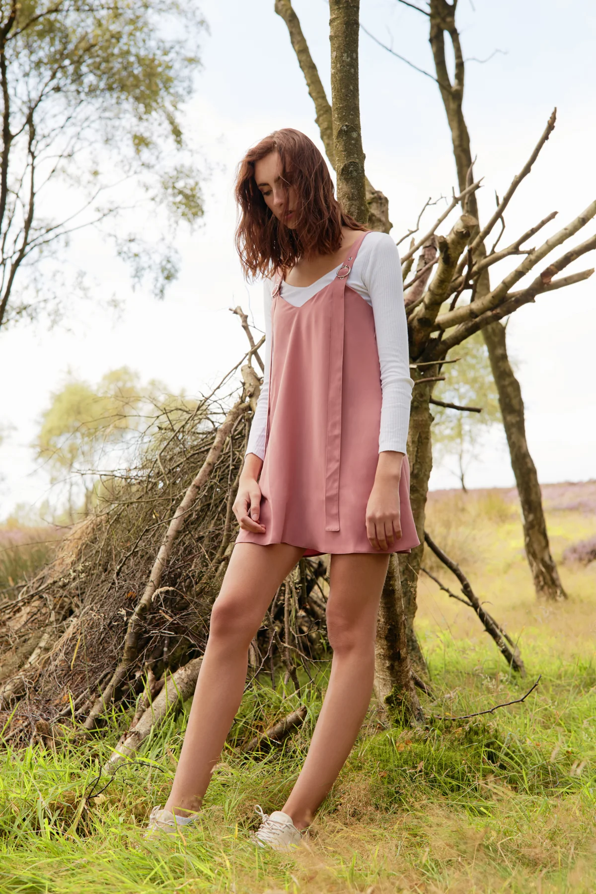 Harriet-Web-1.jpg