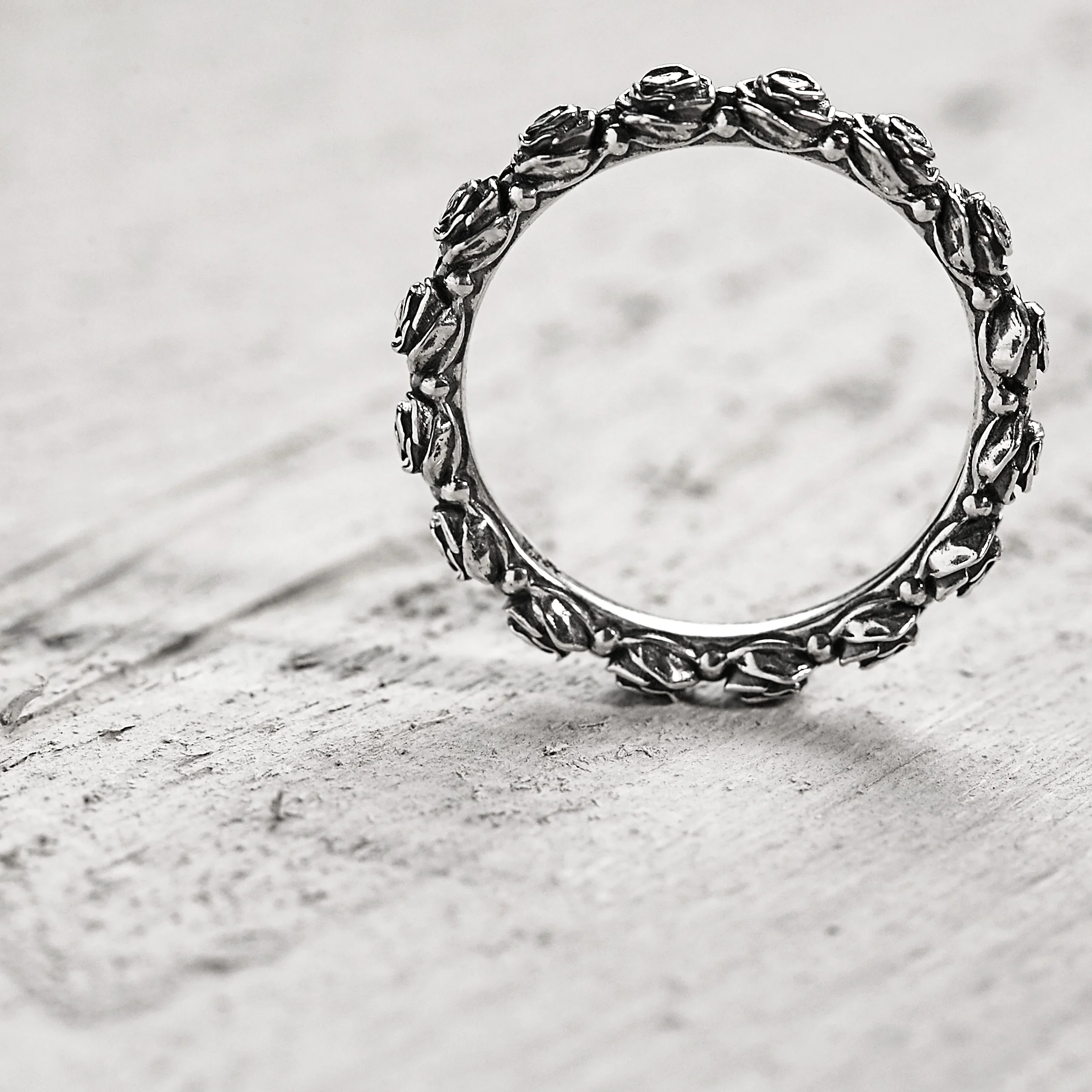 Volstead Rings Macro NOV 201722477.jpg