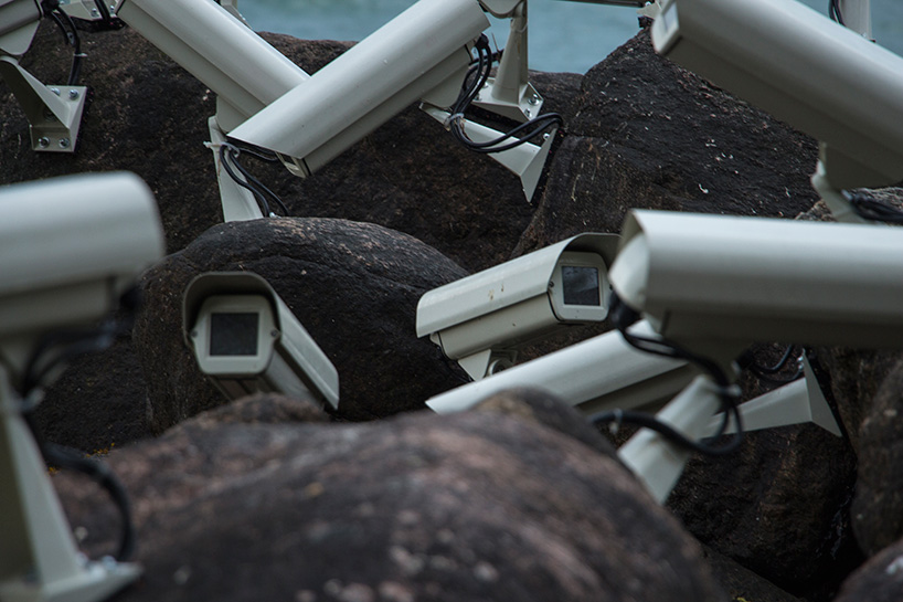 jakub-geltner-nests-security-cameras-in-nature-sculpture-by-the-sea-designboom-04.jpg