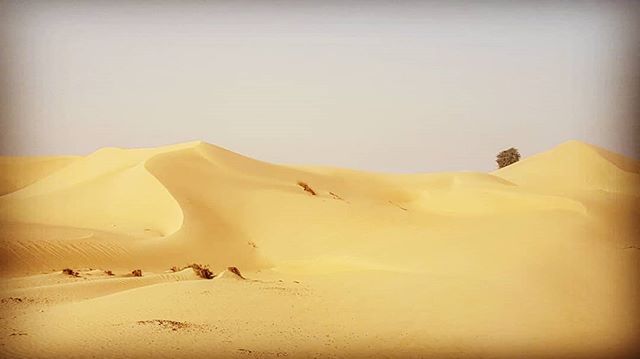 On location in the Dubai desert #filmproduction #artdepartment #setlife #dunes #desert