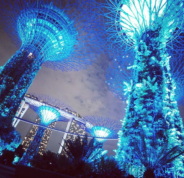 Glimpses of a Sci-fi future #gardensbythebay #singapore #scifi #futuristic #supertree #supertreegrove