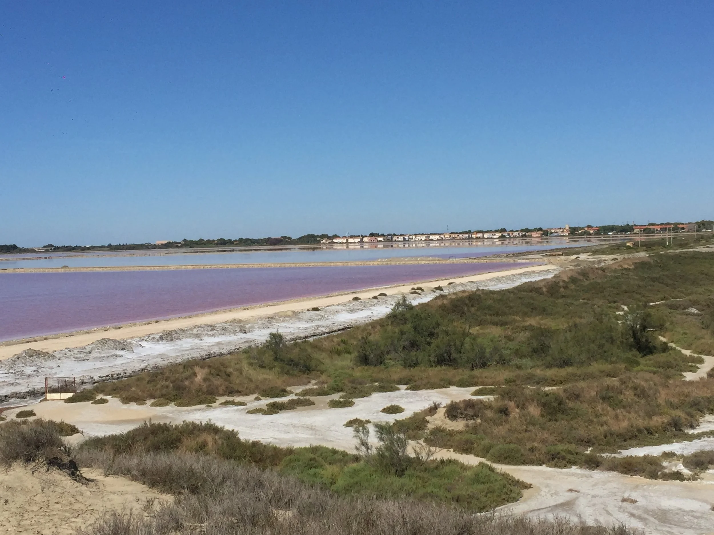 Le saline rosa di Giraud