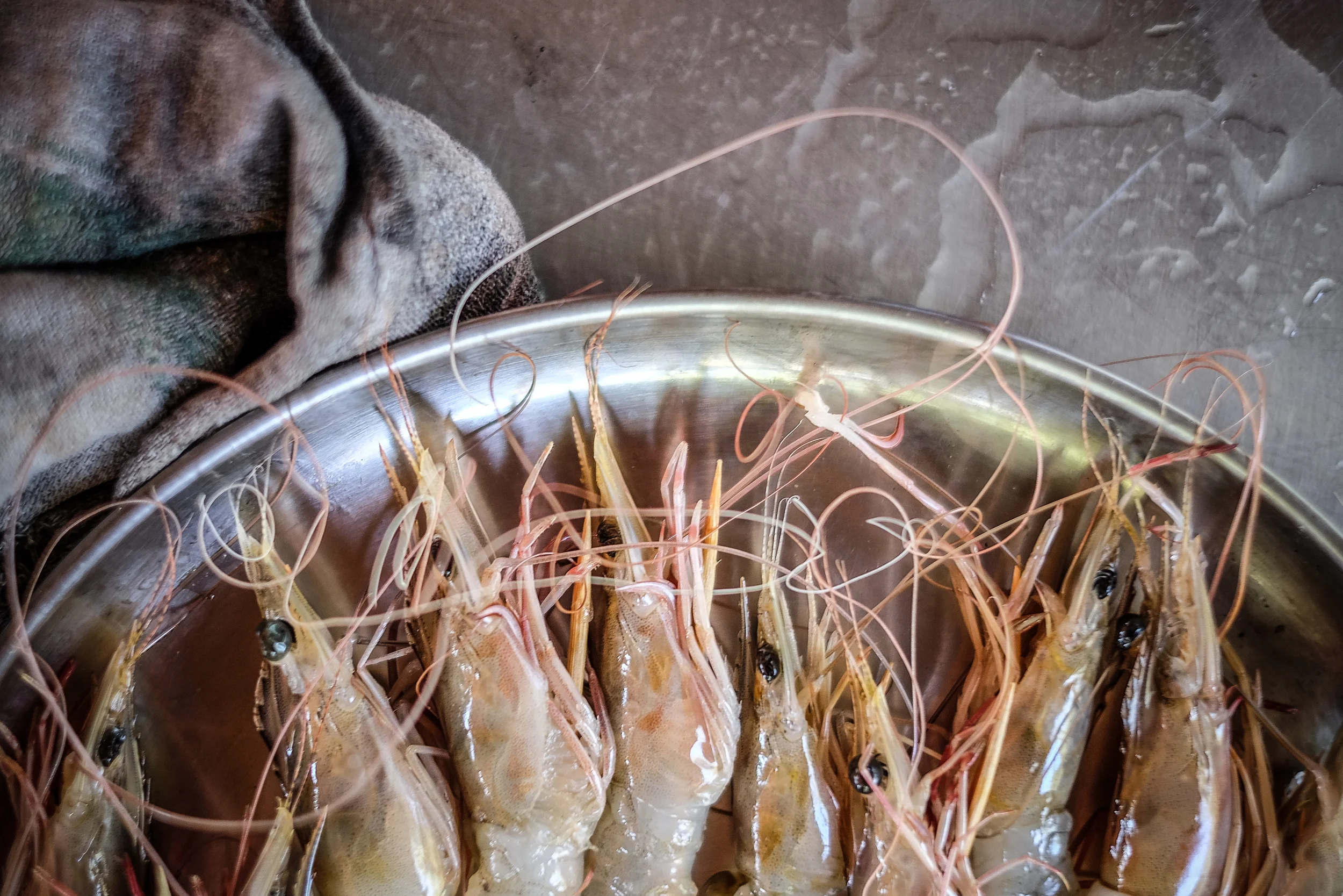 fresh prawns