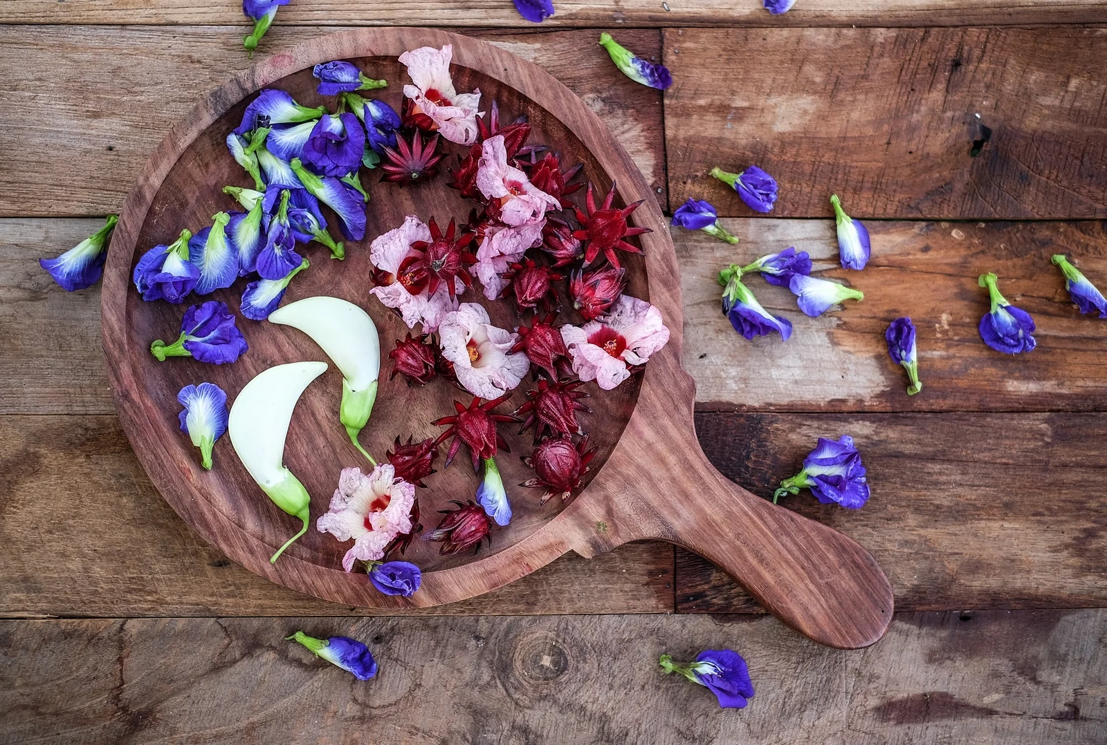 edible flowers