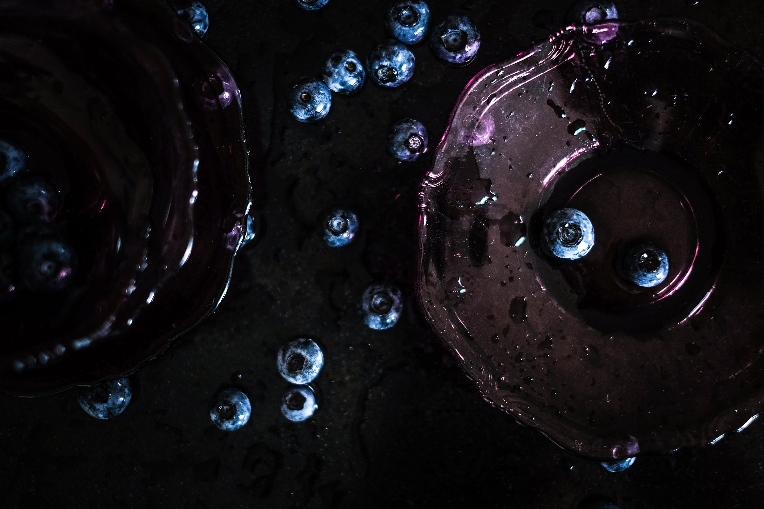 Blueberry Farm Rokove Borovnice (Roko's Blueberries)