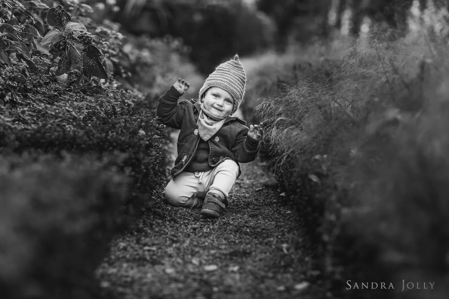 Sandra Jolly Photography-32.jpg