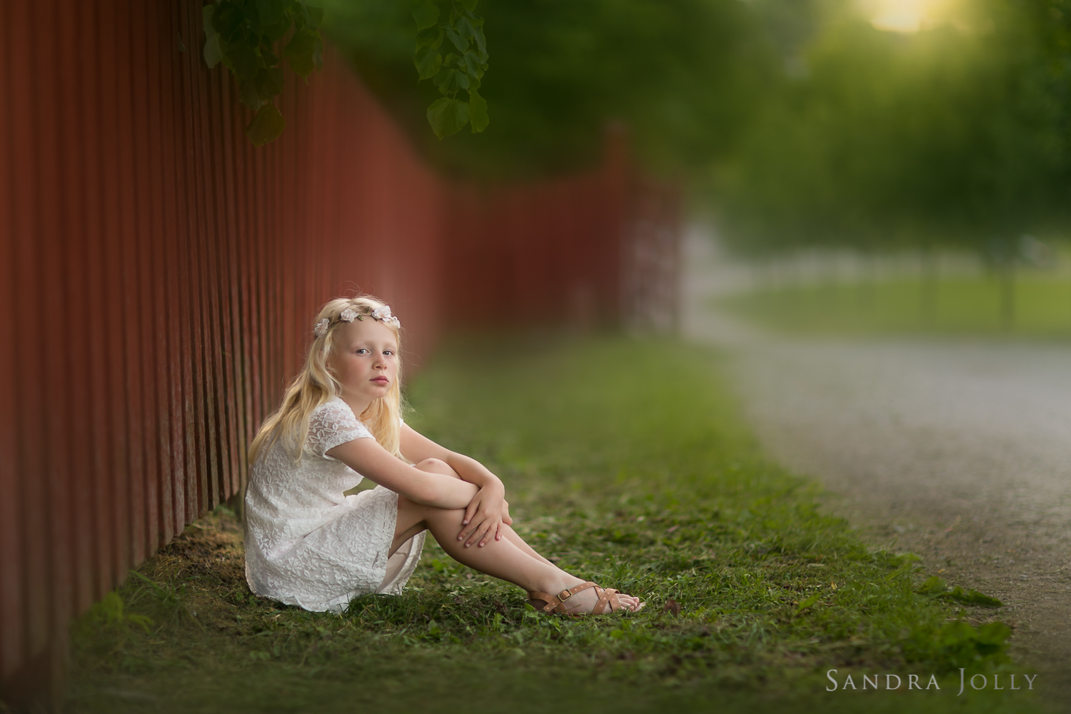 Sandra Jolly Photography-.jpg