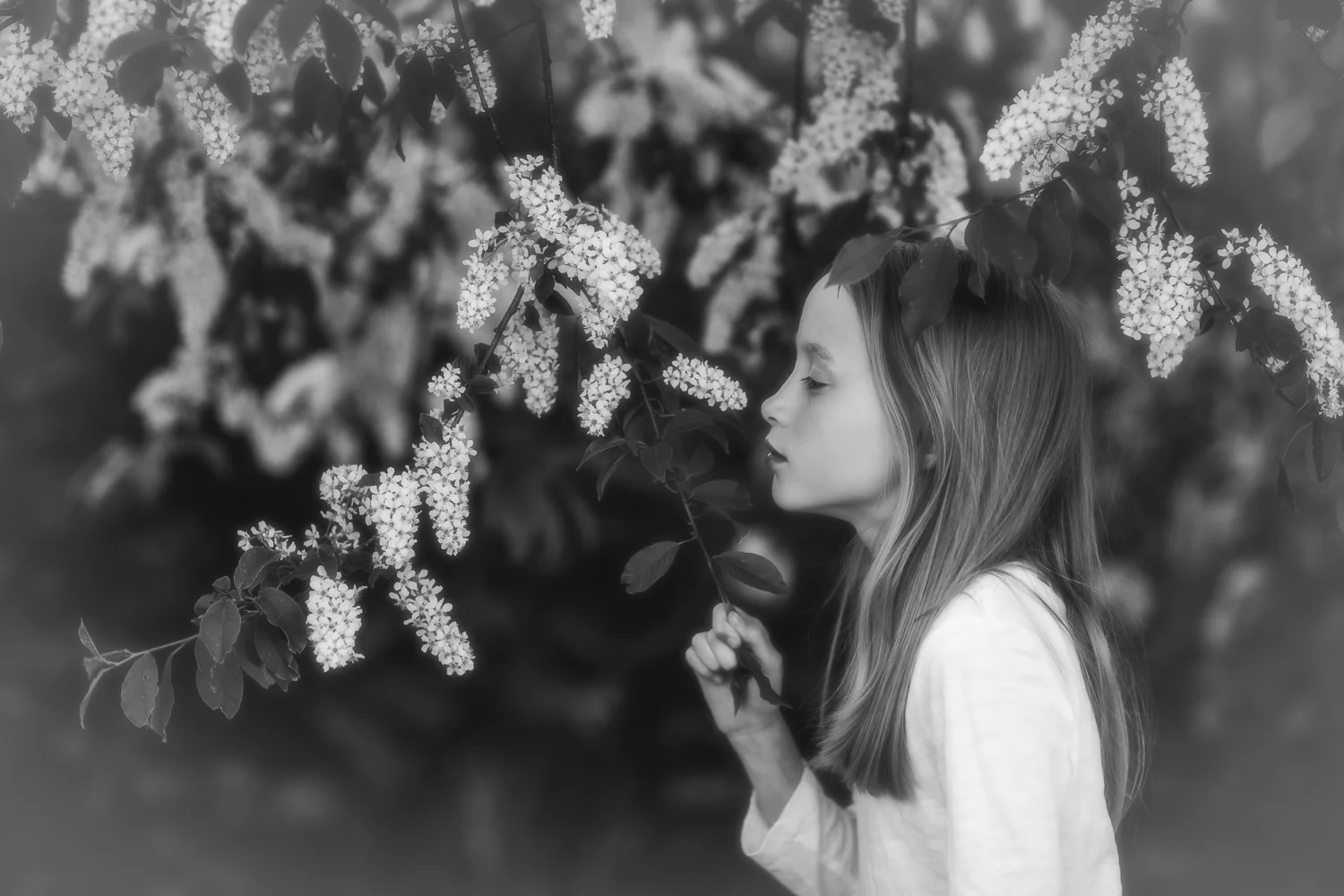Sandra Jolly Photography--18.jpg