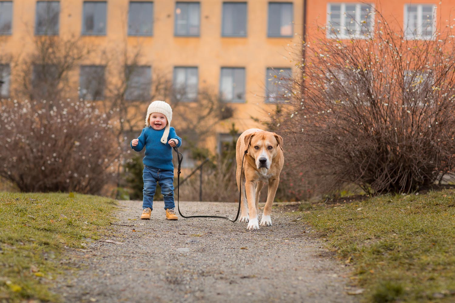 A-photo-of-a-little-girl-and-her-dog-in-Stockholm-by-Sandra-Jolly.jpg