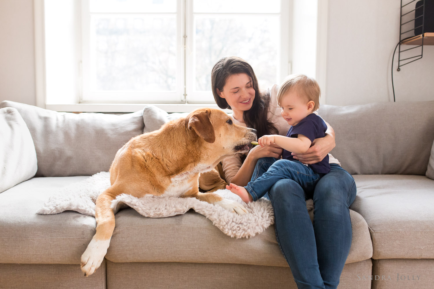 Family-and-pet-at-home-by-lifestyle-photographer-Sandra-Jolly.jpg