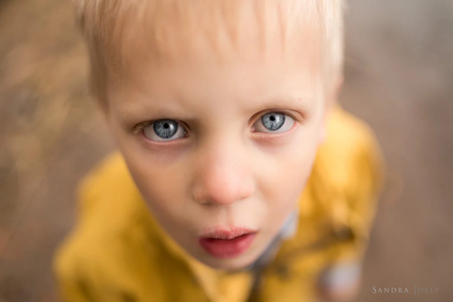 untitled-16.jpg