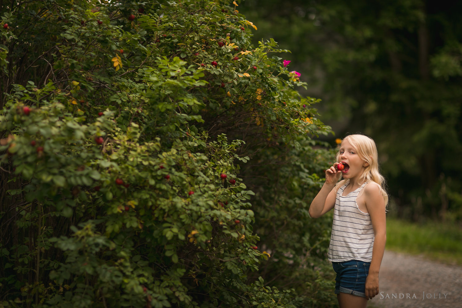 girl-eating-berry-picking-in-sollentuna-by-familjefotograf-Sandra-Jolly.jpg