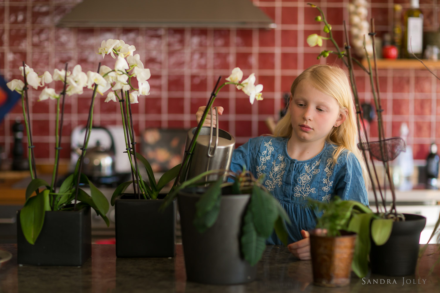 photo-of-girl-watering-flowers.jpg