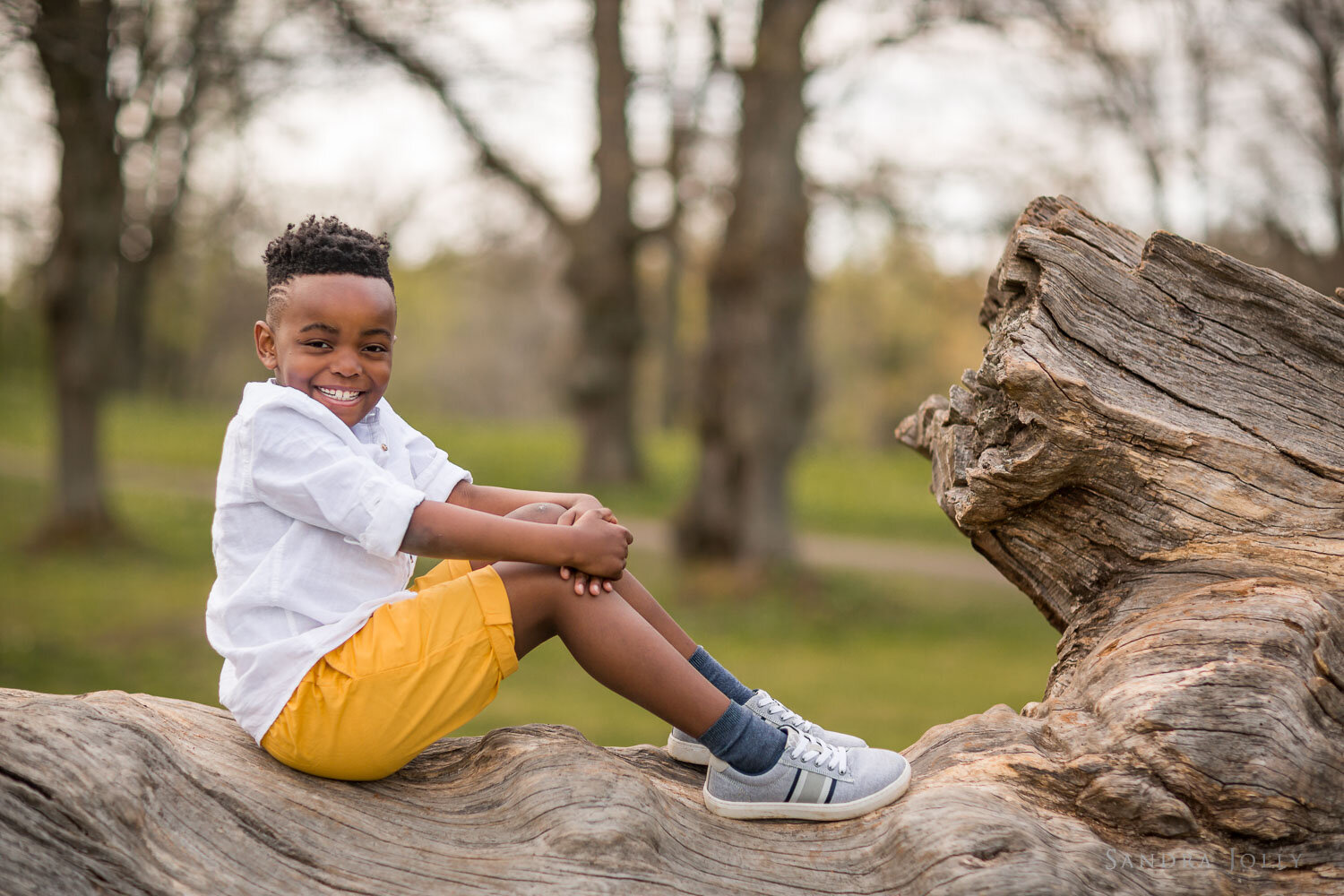 portrait-of-young-boy-on-tree-by-stockholm-photographer-sandra-jolly.jpg