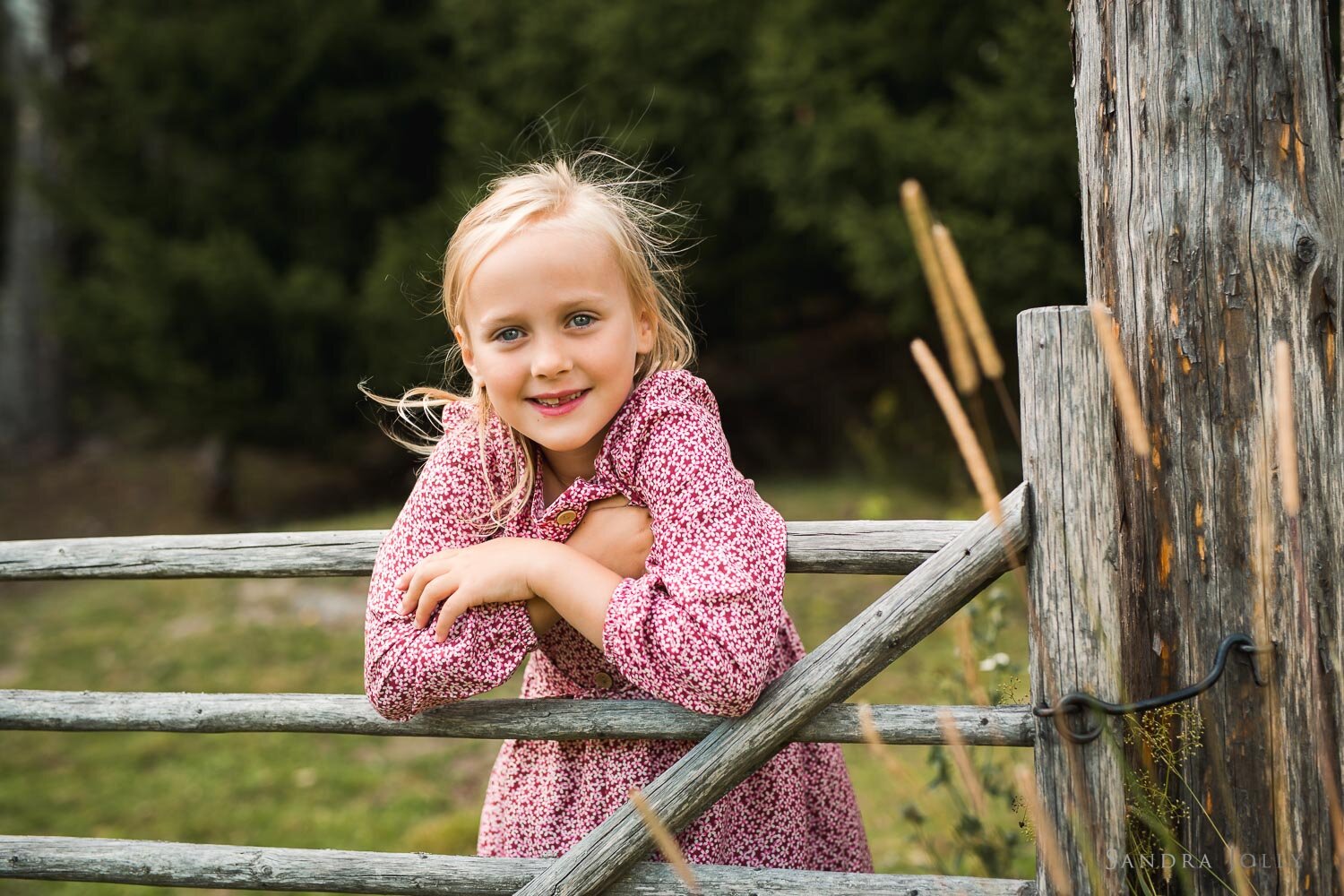 -little-blonde-girl-at-wooden-gate-by-stockholm-photographer-sandra-jolly.jpg