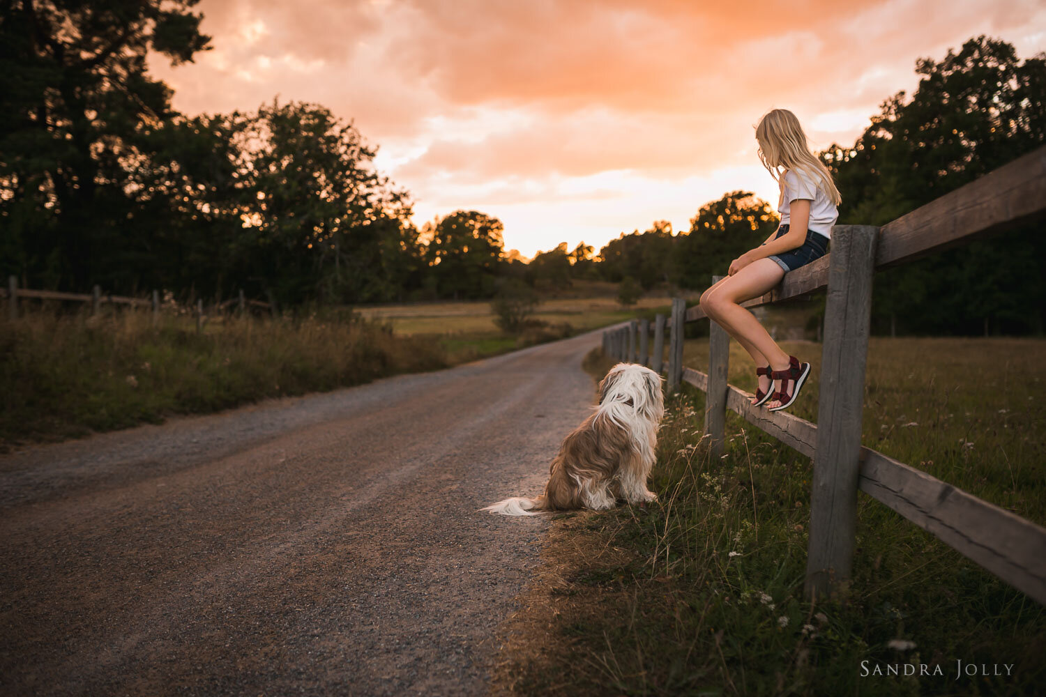 girl-sitting-on-fence-beside-her-dog-by-Stockholm-family-photographer-sandra-jolly-photography.jpg