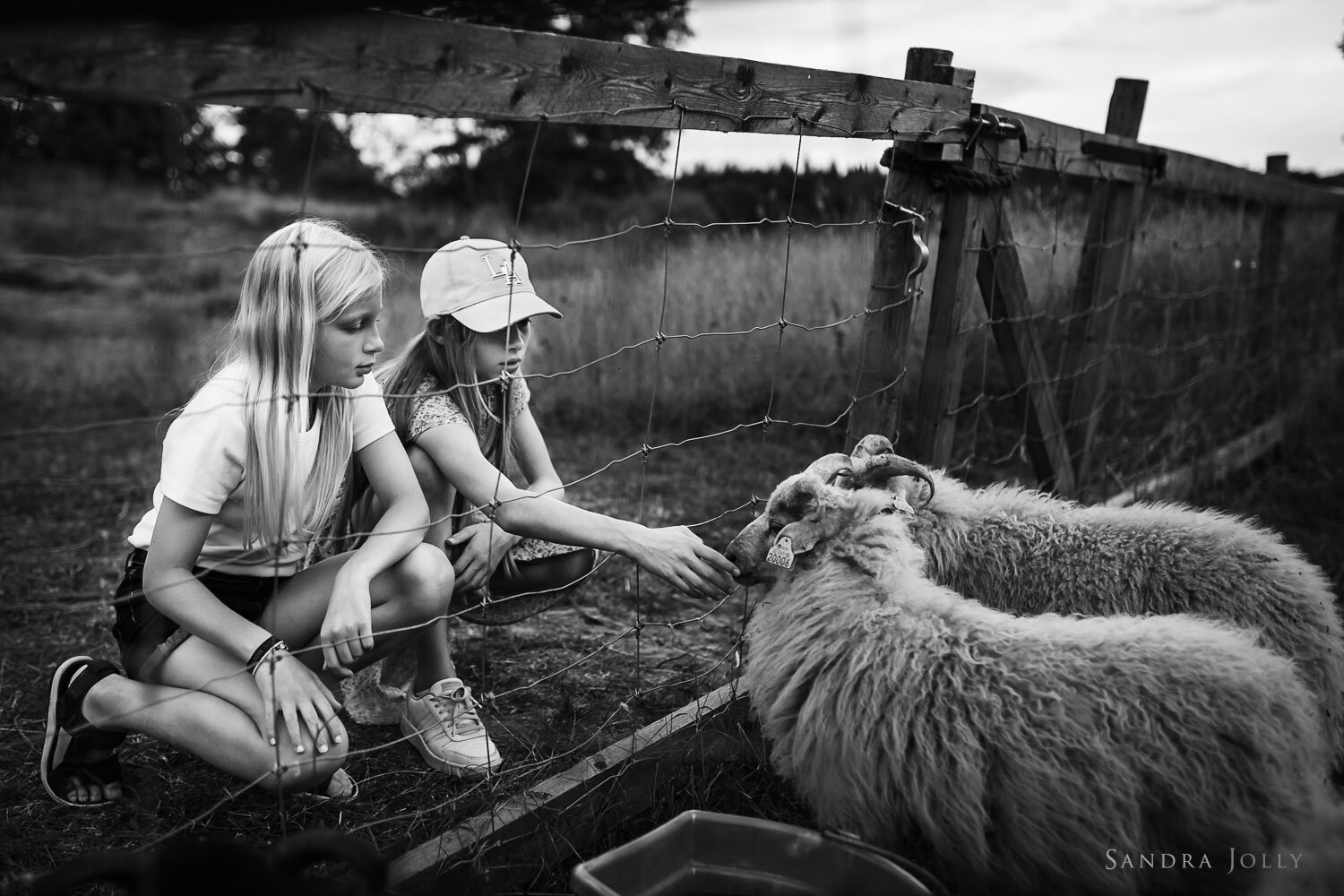 two-sisters-petting-sheep-at-a-farm-by-stockholm-photographer-sandra-jolly.jpg