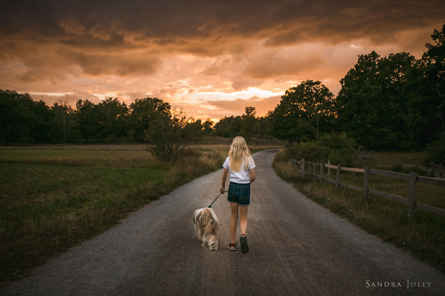 young-girl-walk-with-her-dog-by-sandra-jolly-photography.jpg