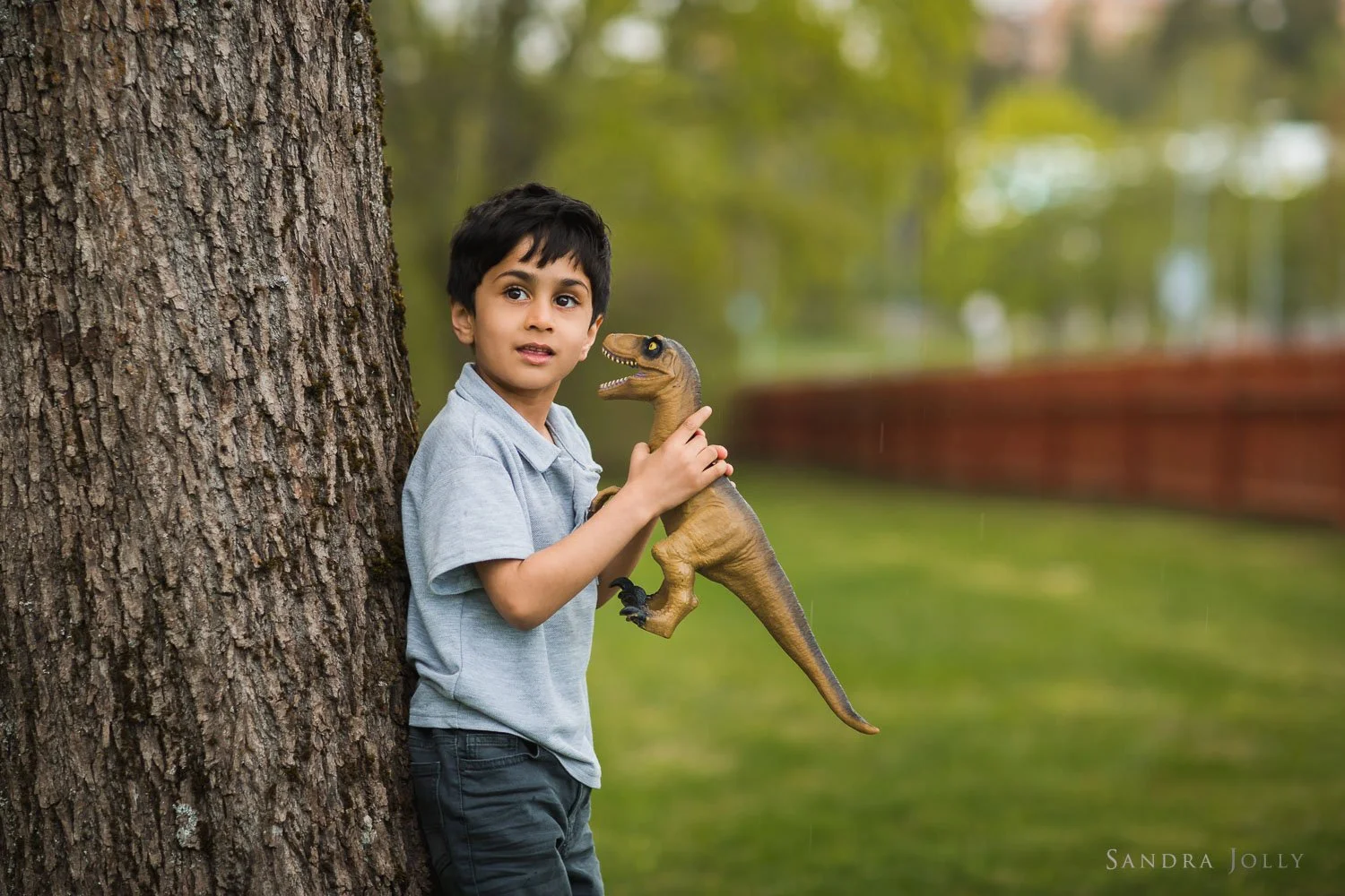 boy-and-dinosaur-photo-by-sandra-jolly-photography.jpg