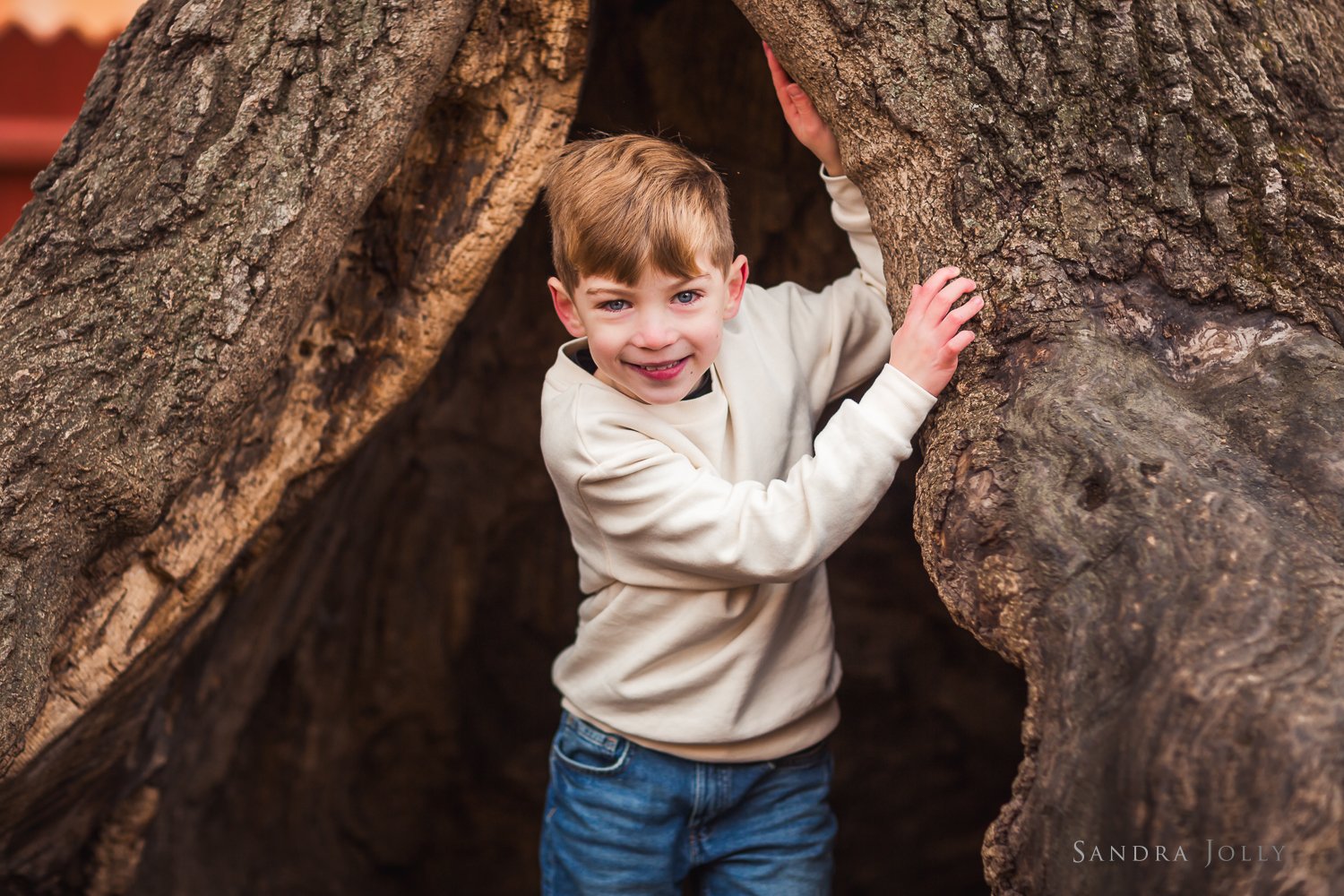 boy-in-a-tree-in-stockholm-by-stockholm-portrait-photographer.jpg