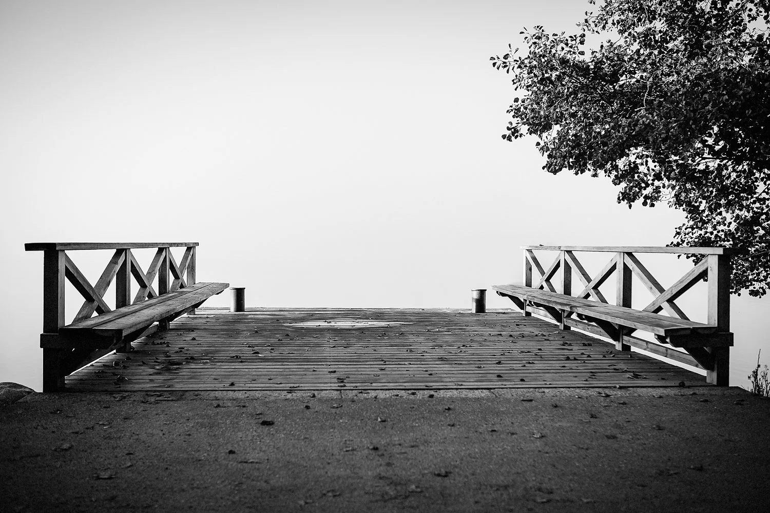 foggy-sollentuna.jpg