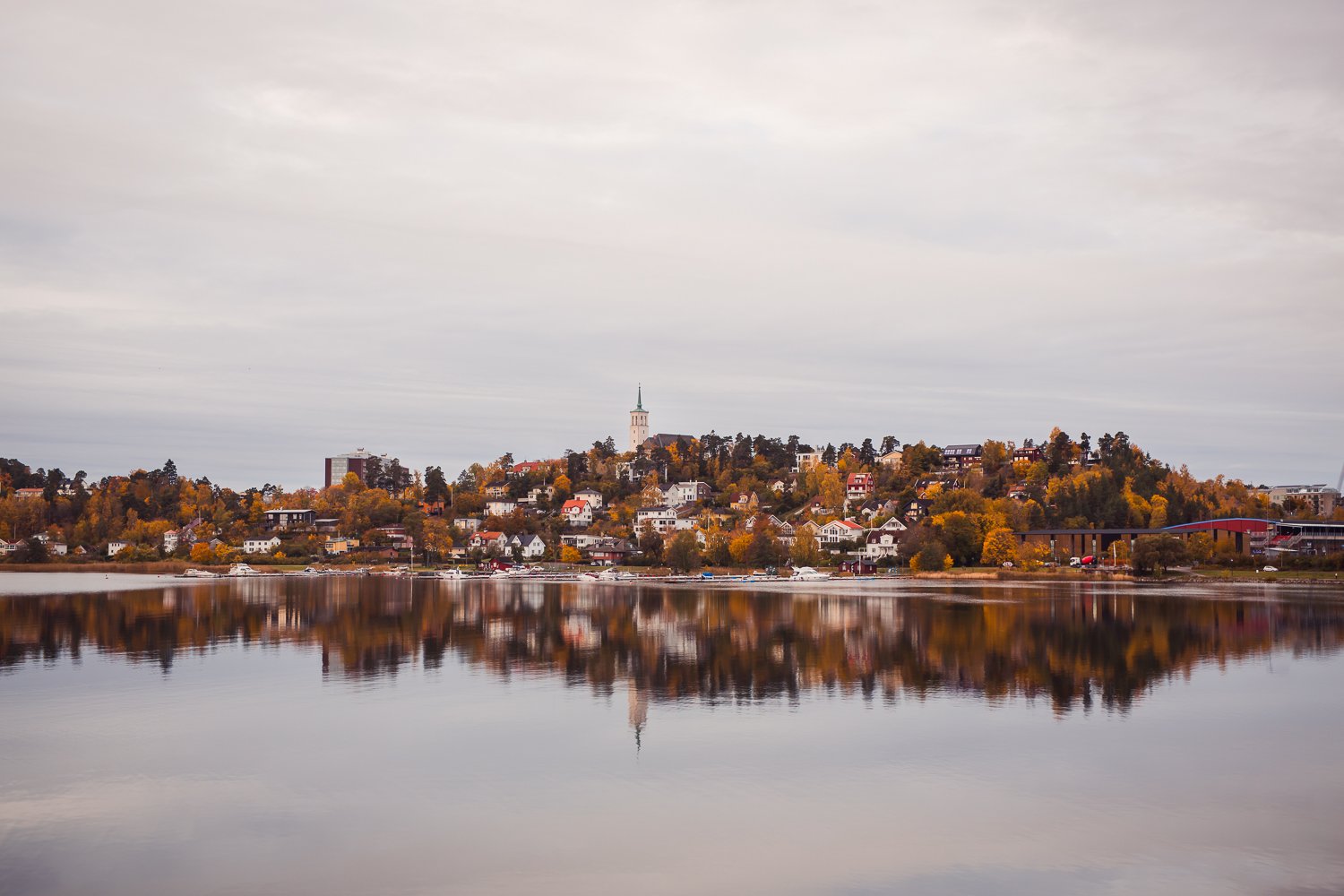 autumn-in-sollentuna.jpg